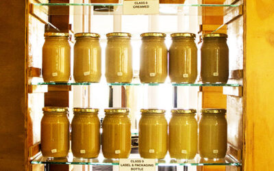Biocontrol for integrated pest management a beacon for mac orchards