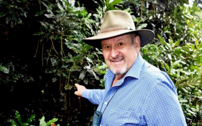 The time to plant is now, says Tzaneen mac pioneer