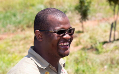 Rolls Royce macadamia plan for KZN small-scale growers