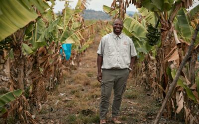 Venda vision drives small-scale macadamia production