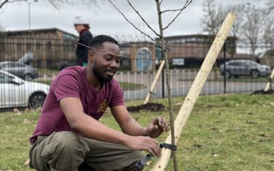 Macadamia nuts offer food security hope for Africa