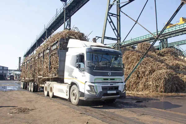EV_offloading_sugarcane_2 62.webp